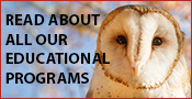 Horizon Wings' Educational Programs