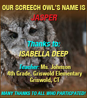 Name our Screech Owl winner