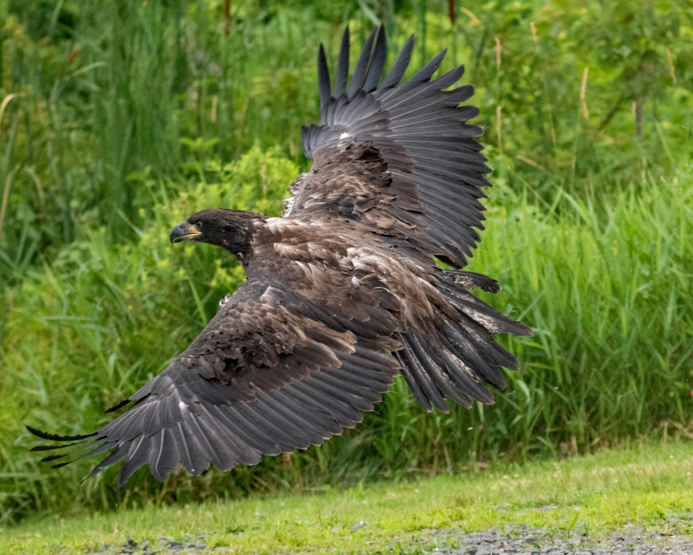 December calendar page