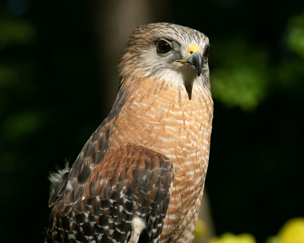 September calendar page